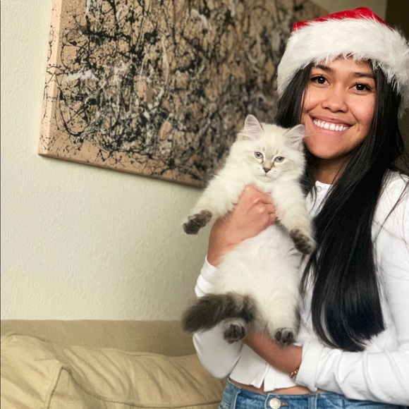 catznab